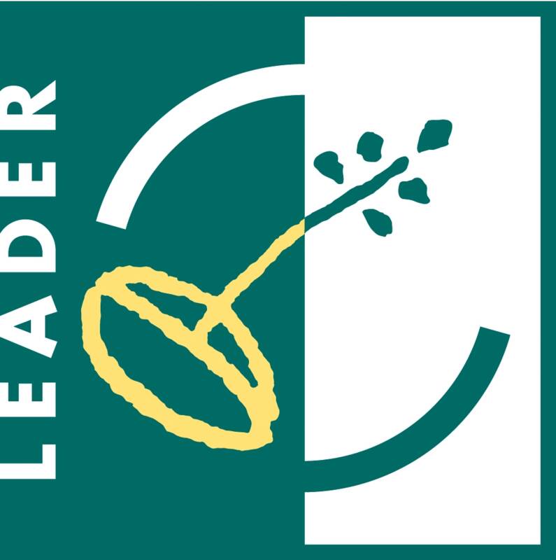 LEADER Logo